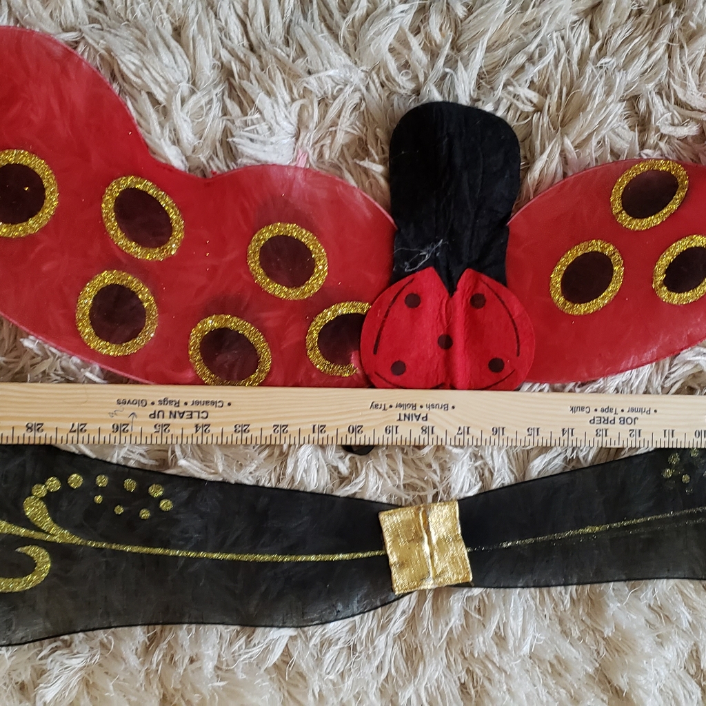 Lady Bug And Butterfly Wings Bundle